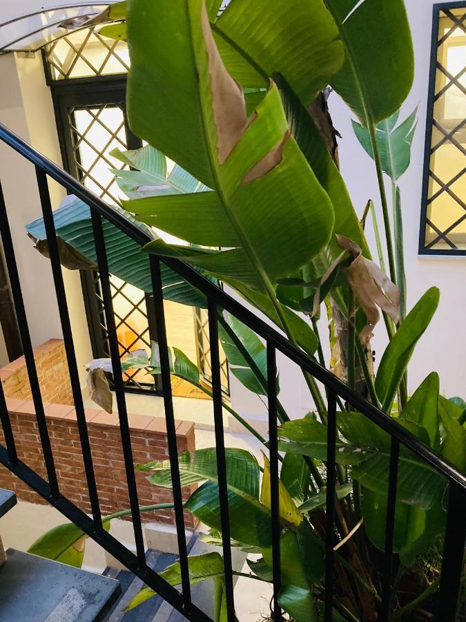 Lavica Di Mezzo Apartments Κατάνια Εξωτερικό φωτογραφία