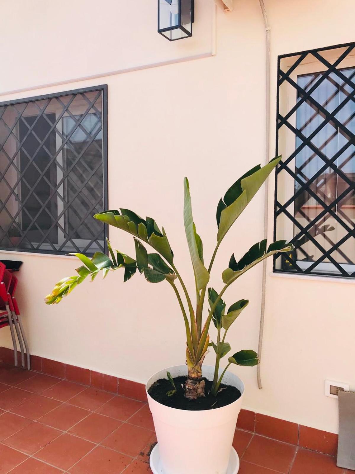 Lavica Di Mezzo Apartments Κατάνια Εξωτερικό φωτογραφία