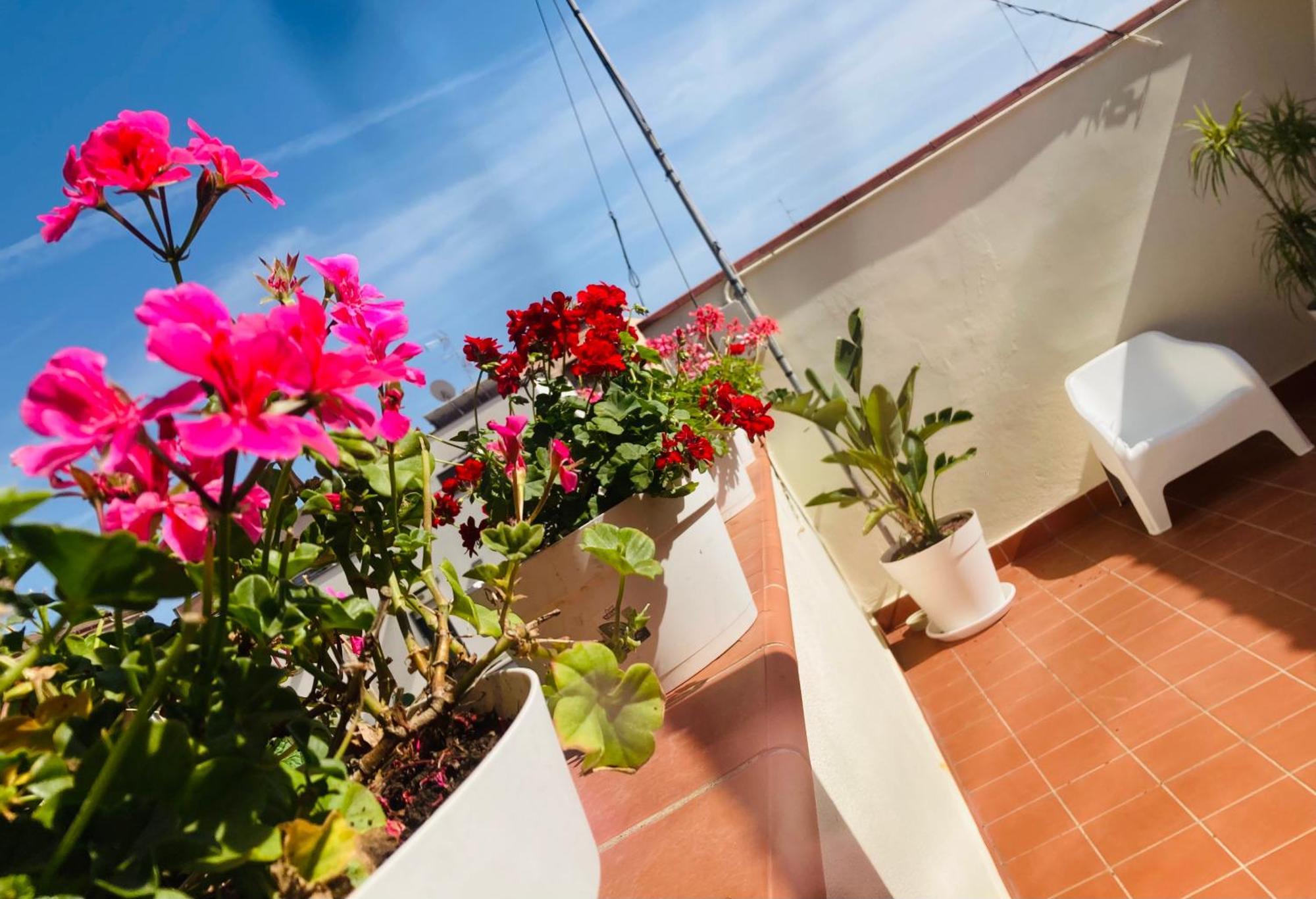 Lavica Di Mezzo Apartments Κατάνια Εξωτερικό φωτογραφία